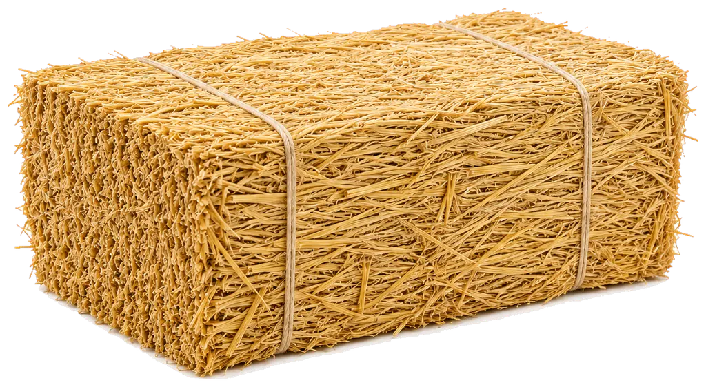 Une botte de paille de construction, rectangulaire, fortement comprimée et tenue par deux ficelles, vue de trois quarts : à gauche le bout des tiges coupées, dessus leur flanc. C'est ce sens de pose qui décide de la conductivité — λ 0,052 sur chant, 0,080 à plat.