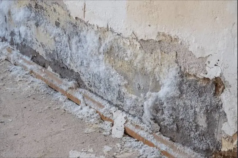 Mur avec sels et enduit ciment problématique non respirant