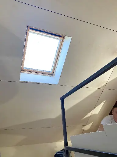 [PTBM190080P] Peuplié Multiplex B/BB - MR PEFC